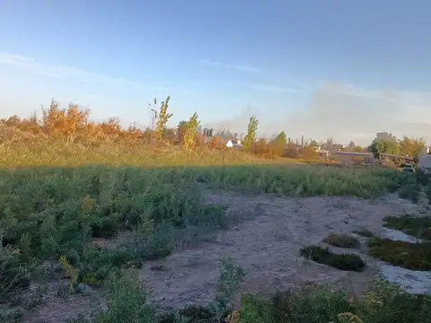 Terreno en Venta de 1200,0 m2