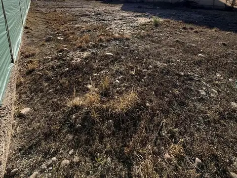 Terreno en Venta de 500,0 m2