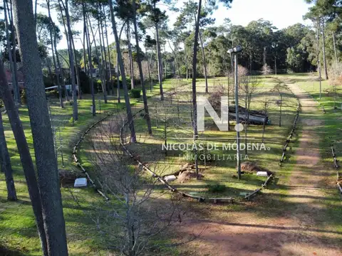 Oportunidad de inversión, en Pinares Punta del Este