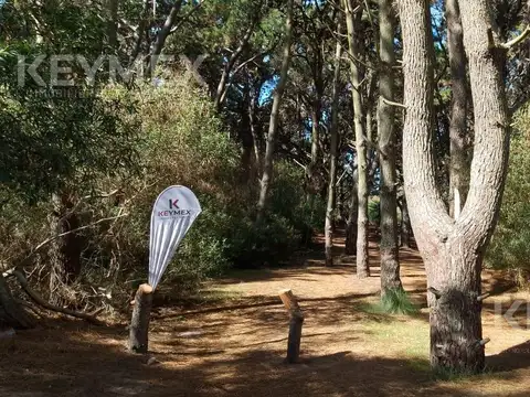 Terreno en Venta 16  mts Frente