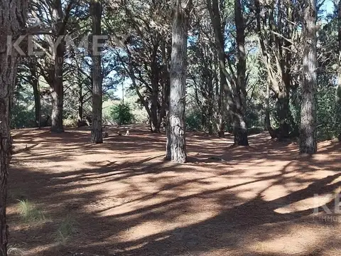 Terreno en Venta 45  mts Fondo