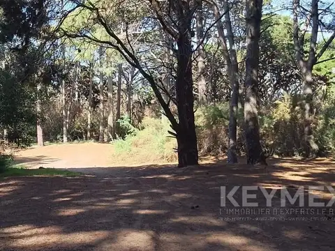 Terreno en Venta en Costa Del Este, USD 65.000