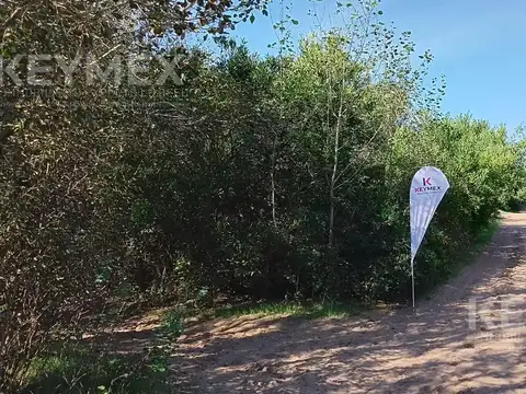 COSTA DEL ESTE,LA RESERVA Av.7-e/Camelias y amapolas