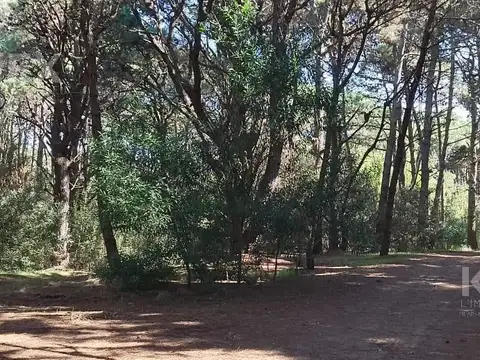 Terrenos en VENTA. COSTA DEL ESTE. LA RESERVA 100m Del Mar. UN LUGAR SOÑADO