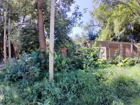 VENTA DE 2 TERRENOS CON CONSTRUCCION EN GRAL. RODRIGUEZ - Estrada y Gabriela Mistral. BAJO DE PRECIO