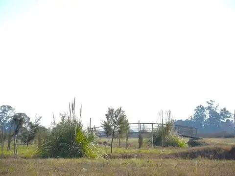 Terreno en Funes norte
