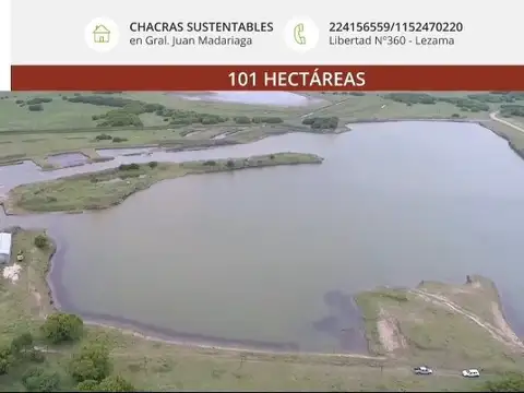 Campo en Venta de 82  ha