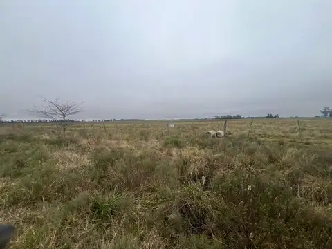 CAMPO EN VENTA EN SAN VICENTE RUTA 6