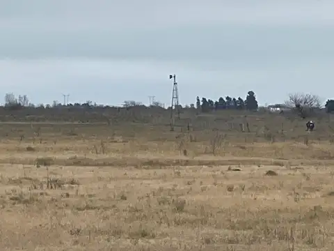 Ruta Provincial 6, San Vicente 100