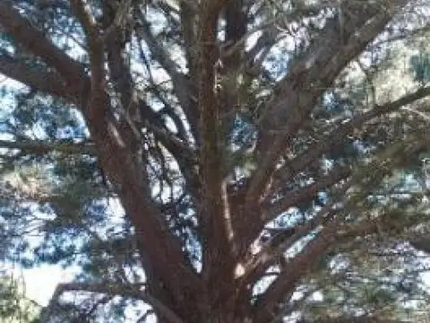 Terreno en venta - 685Mts2 - Las Gaviotas