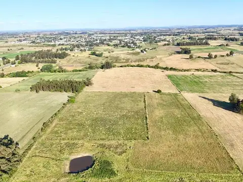 Alquil 14 hectáreas y media de campo San Jacinto
