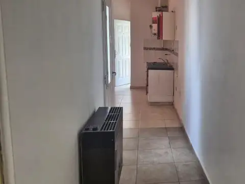 Leonismo Argentino al 1500