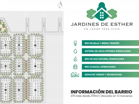 LOTEO EN PUEBLO ESTHER