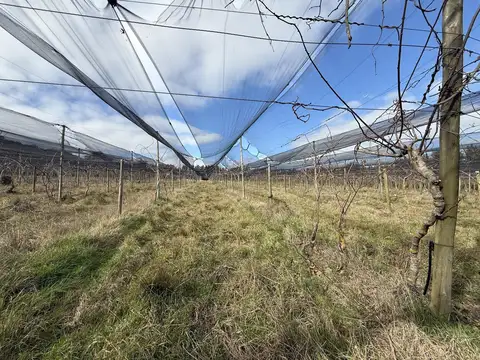 Jose Luis Vareto al 1000