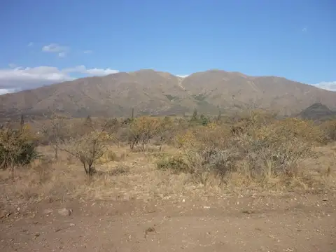 French, Barrio Las Gemelas
