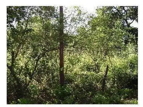 Ruta 24 Intersección Con Ruta 51