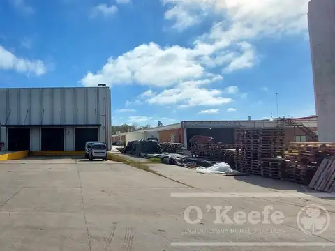 Galpon en Alquiler 20  mts Frente