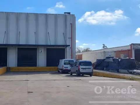 Galpon en Alquiler 80  mts Fondo