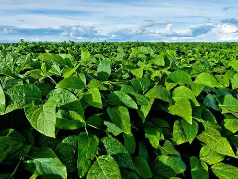 Entre Rios Puerto Algarrobo