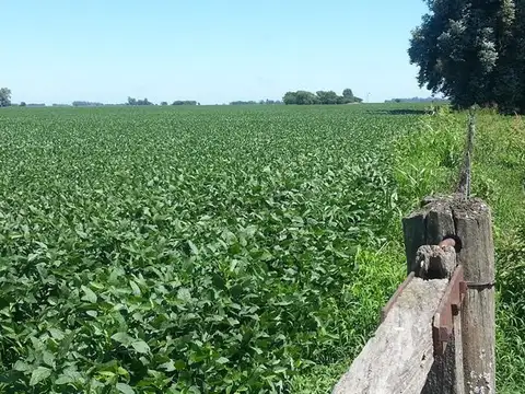 Venta Campo en Entre Rios Puerto Algarrobo Argentina