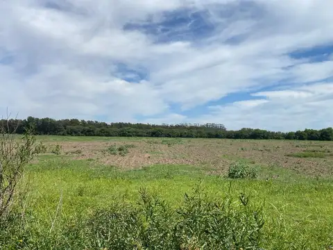 Campo en Gobernador Castro san pedro