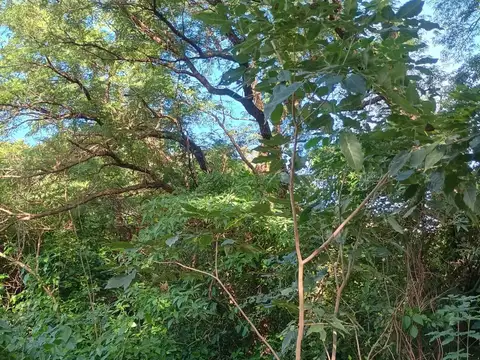 Los hermanos Monte, terrenos a metros de colectora Ruta 11