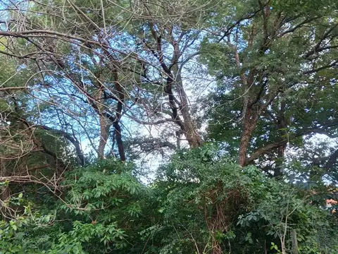 Terreno en Venta de 408,0 m2