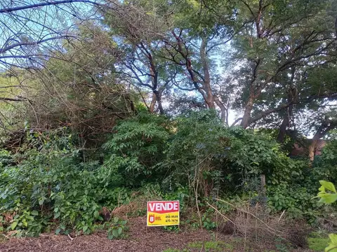 Gerardo Varela y Ruta 11