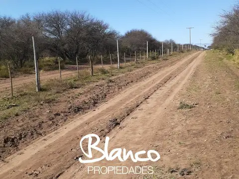 Campo  en Venta en Winifreda, Conhelo, La Pampa