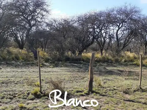 Casa en Venta en Winifreda, USD 1