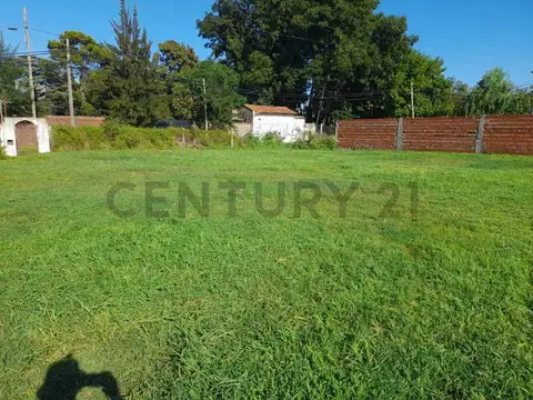 Terreno en Venta 31  mts Fondo