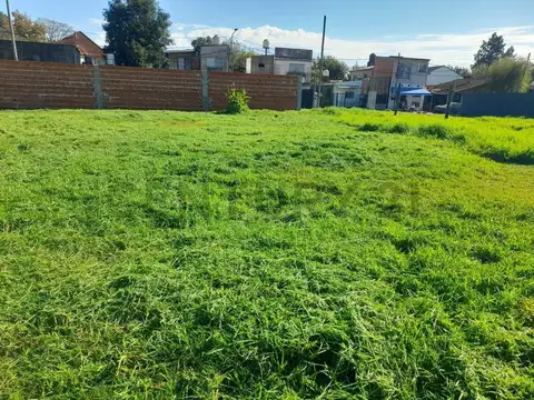 Terreno en Venta de 310,0 m2