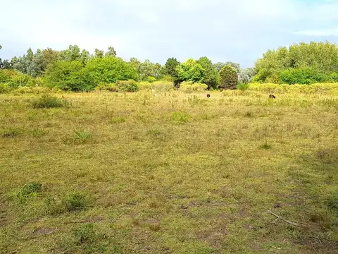 Terreno en Open Door, Luján