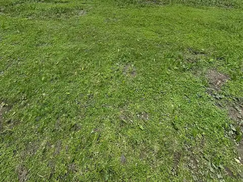 SAN SEBAS AREA 10 COD 802,5 MD