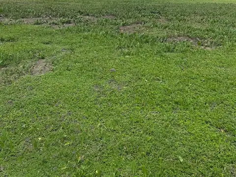 VENTA LOTE  CON LAGUNA en San Sebastian AREA 10