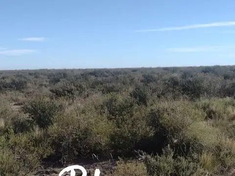 La Reforma - La Pampa -