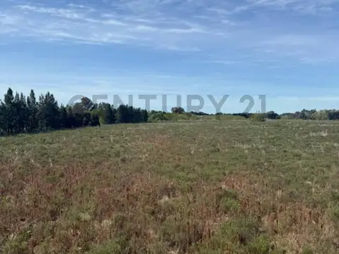 637 e/ 13 y 17 , Piso 0