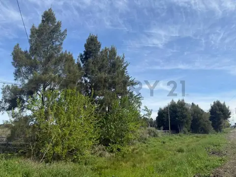 637 e/ 13 y 17 , Piso 0