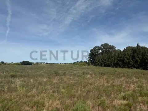 Terreno en Venta en Arana, USD 770.000