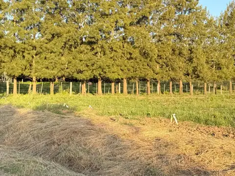 Terreno en Venta de 541,0 m2