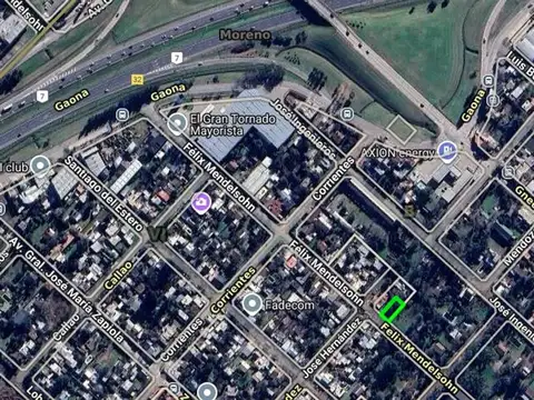 Félix Mendelsohn 1100