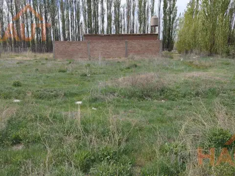 Terreno en Venta en Cipolletti, USD 8.500