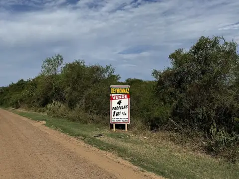 Intendente Maxit zona Termas San José