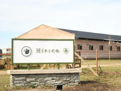 Terreno en Venta 40  mts Fondo