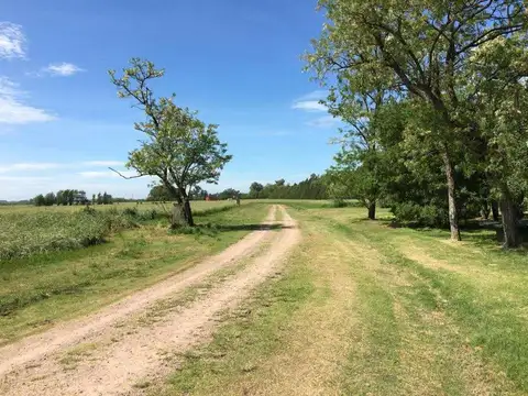 Terreno en Venta de 2000,0 m2