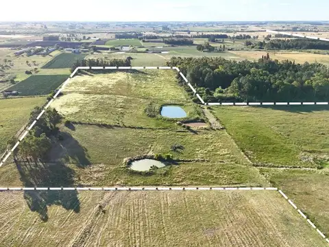 Vendo 8 hectáreas y media de campo en San Jacinto