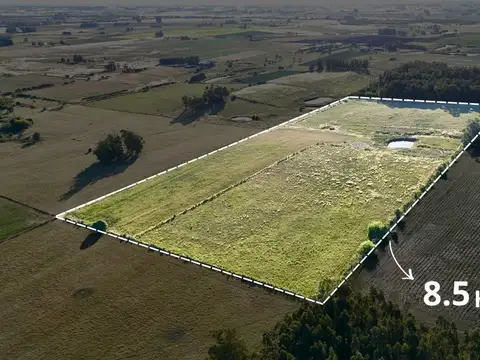 Vendo 8 hectáreas y media de campo en San Jacinto