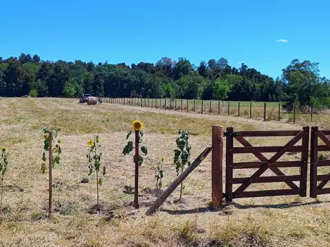 Florentina, pueblo de Chacras