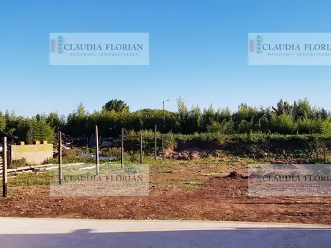 Gustavo Flaubert 1300