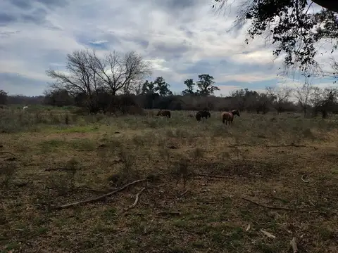CAMPO DE 46,84 HECTAREAS EN VENTA EN PILAR